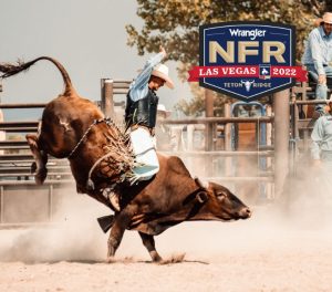 NFR hotel offer showing a guy riding a bull