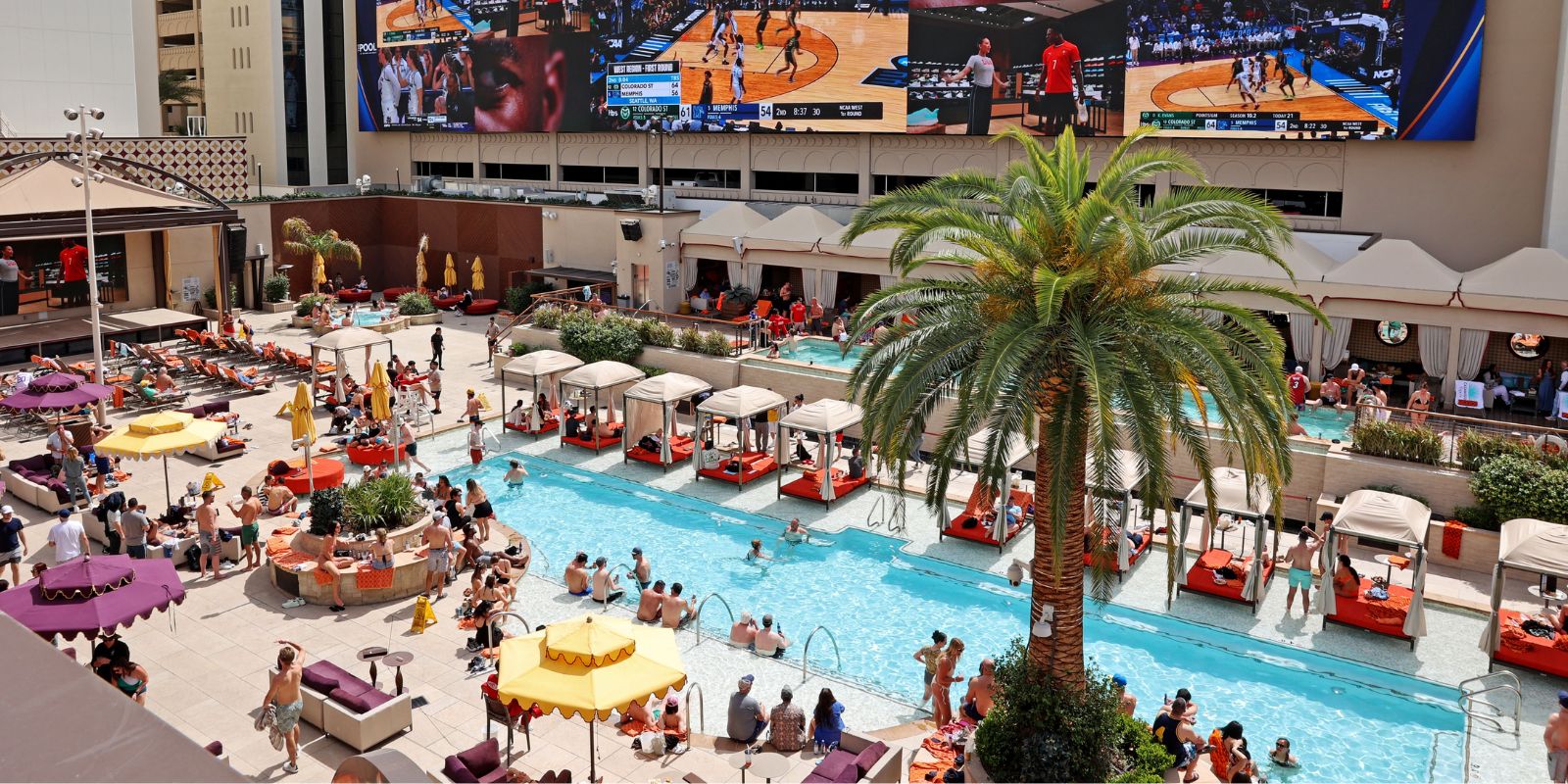 architectural picture of The Pool at SAHARA